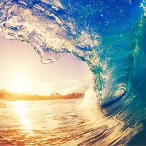 Meet your Posher, Bjorn